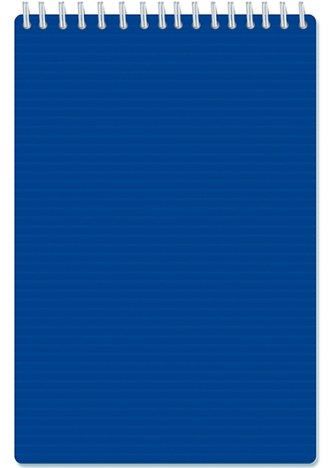 Блокнот А5 60л. АппликА гребень