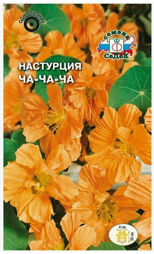 Семена Настурция Ча-Ча-Ча ( низкорослая,светло-оранжевая) Седек (уп.10)