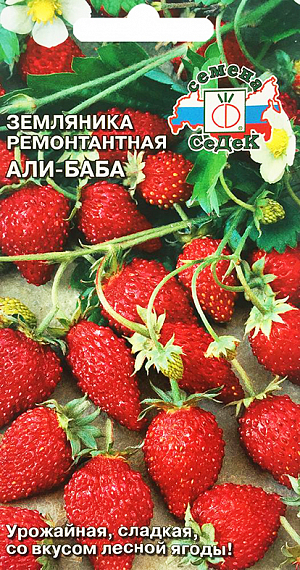 Семена земляника Али-Баба ( мелкоплодная ремонтант.) Седек (уп.10)