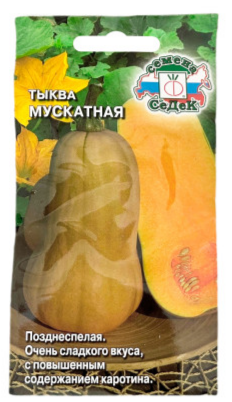 Семена тыква Мускатная Седек (уп.10)