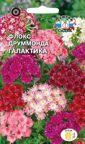 Семена Флокс Друммонда Галактика (звездчатая, смесь цветов) Седек (уп.10)