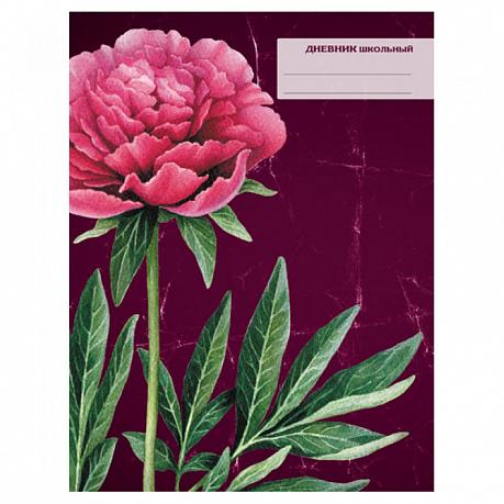 Дневник Канц-Эксмо д/сред. и ст. кл. 48л. мат. ламин., Нежный пион (живопись)