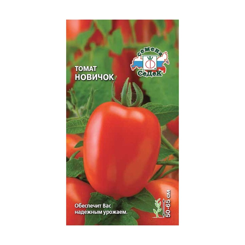 Семена томат Новичок Седек (уп.10)