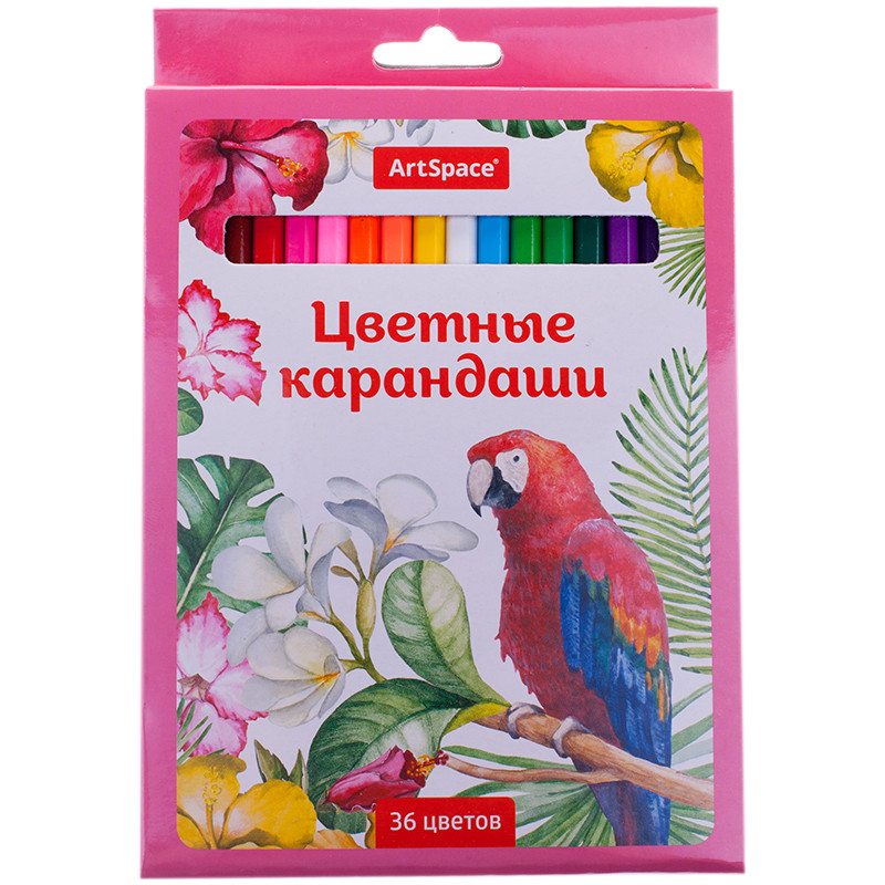 Набор цв. карандашей 36цв. ArtSpace Птицы