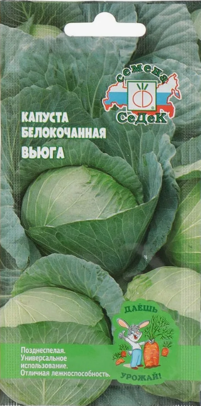 Семена капуста Вьюга ( Б/К ) Седек (уп.10)