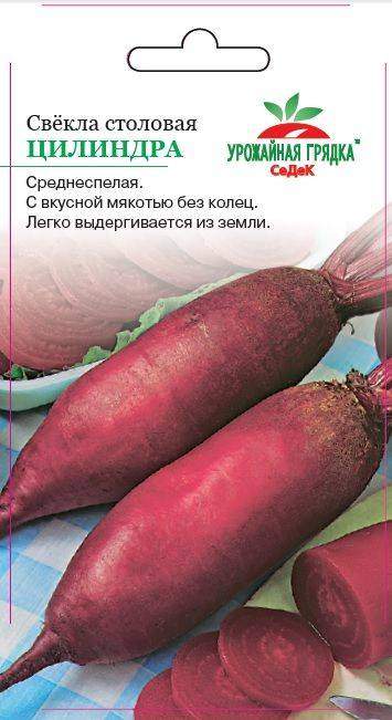 Семена свёкла Цилиндра (столовая) Седек (уп.10)