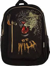 Рюкзак, школьный, BE WILD, 38х28х16см