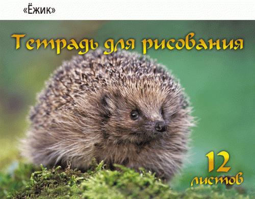 Альбом д/рис. 12л. КПИ Ежик