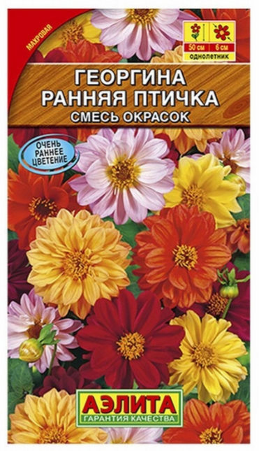 Семена Георгина махровая Ранняя птичка, смесь сортов Аэлита (уп.10)