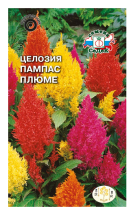 Семена Целозия Пампас плюме (перистая, высокоросл.) Седек (уп.10)