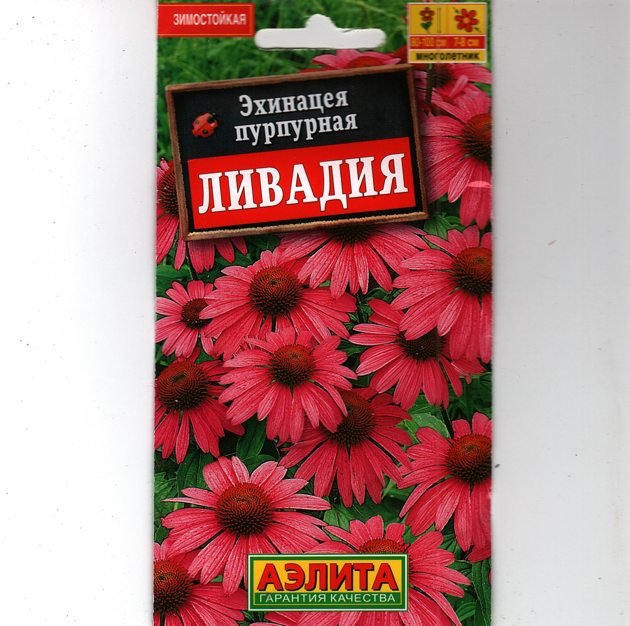 Семена Эхинацея пурпурная Ливадия Аэлита (уп.10)