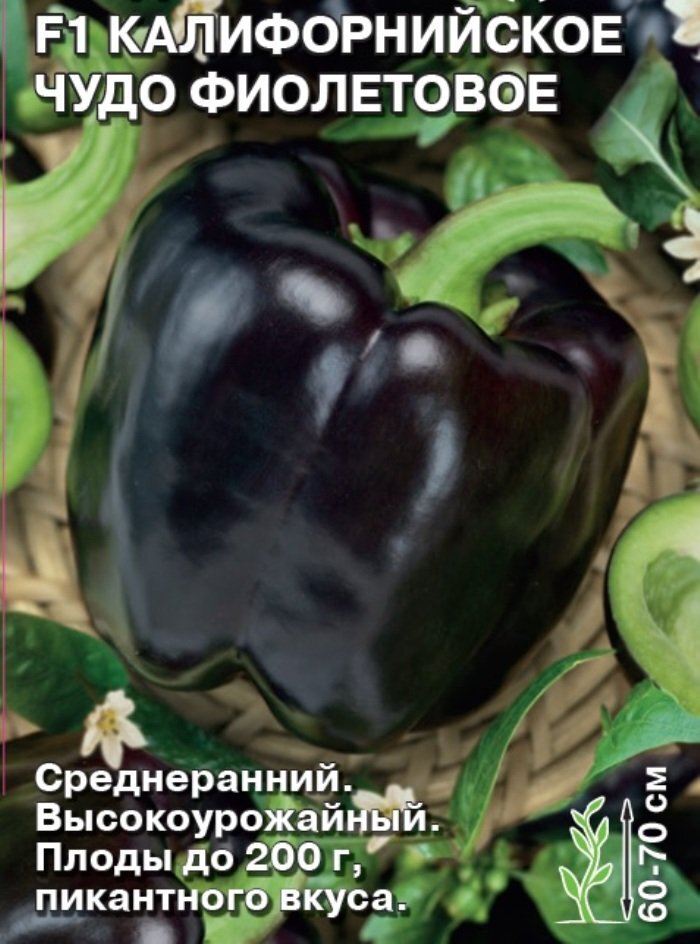 Семена перец Калифорнийское Чудо фиол. (сл.) Седек (уп.10)