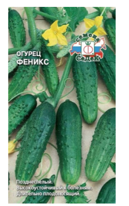 Семена огурец Феникс Седек (уп.10)