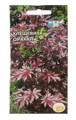Семена Клещевина Оракул (обыкновенная, темно-бордовый лист) Седек (уп.10)