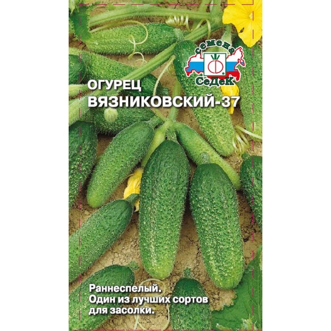 Семена огурец Вязниковский 37 о/г Седек (уп.10)