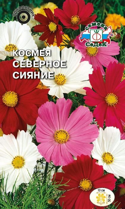 Семена Космея Северное Сияние (бипиннатус, низкорослая смесь) Седек (уп.10)