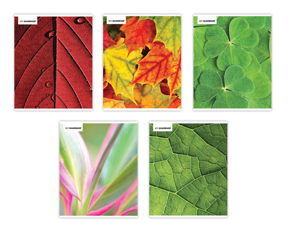 Тетрадь 48л. КЛ. Silwerhof "Macro leaves"(уп.6шт)