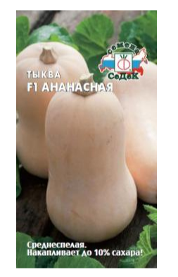 Семена тыква Ананасная F1 Седек (уп.10)