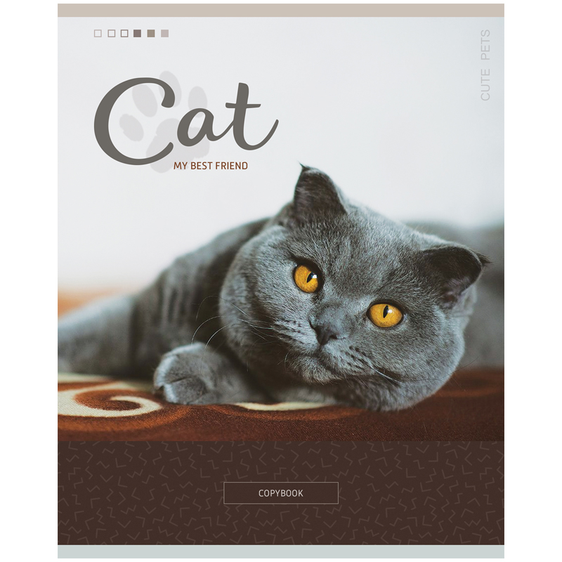 Тетрадь 48л. КЛ. ArtSpace Питомцы. Cute pets