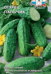 Семена огурец Пальчик Седек (уп.10)