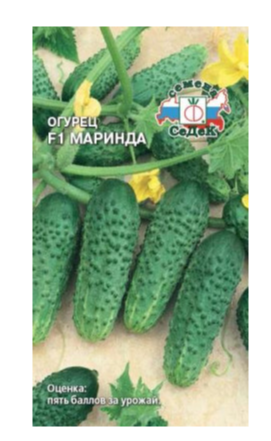 Семена огурец Маринда F1 з/г Седек (уп.10)