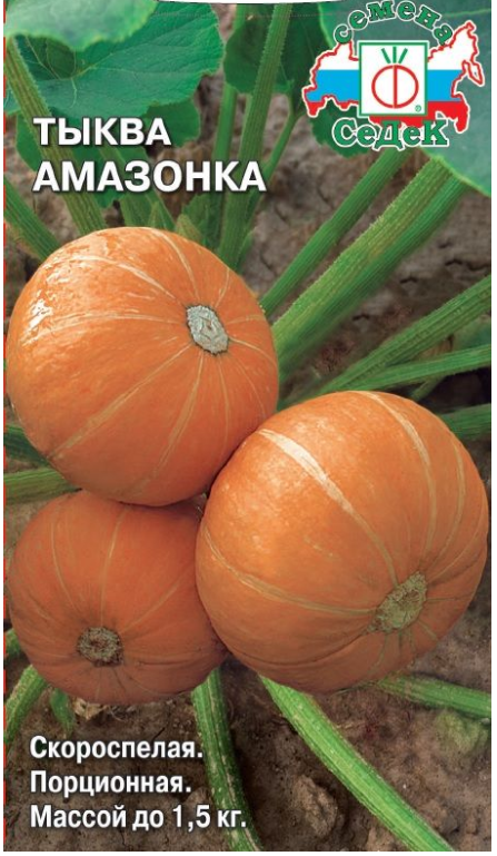 Семена тыква Амазонка Седек (уп.10)