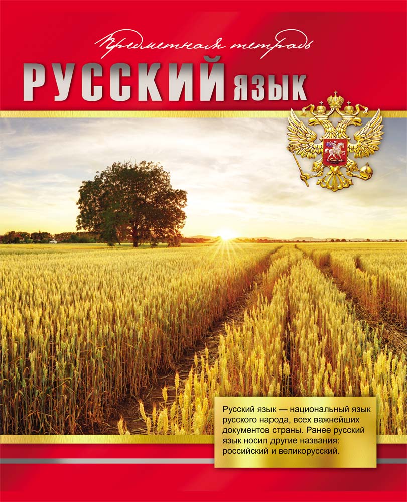 Тетрадь 48л. предм. лин. Проф-Пресс Русский язык