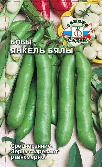 Семена бобы Янкель Бялы Седек (уп.10)