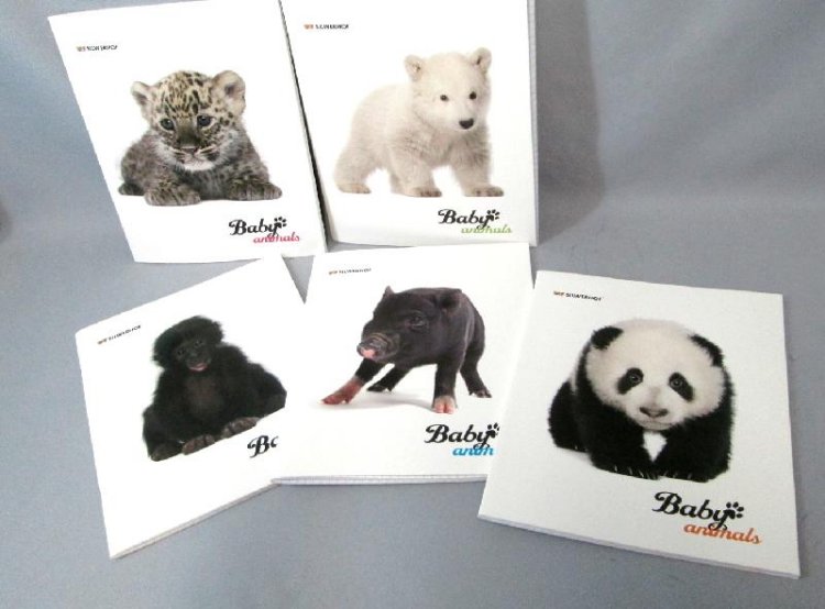Тетрадь 48л. КЛ. Silwerhof "Animals children" (уп.6шт.)