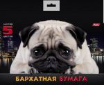 Набор цв. бумаги барх. 5л. А5 Хатбер "Мопс"