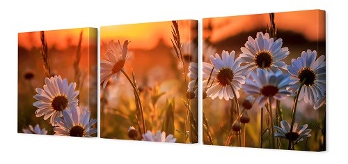 Картина модульная 35*110 (3шт) Y205 #