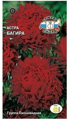 Семена Астра Багира (пионовидная бордовая) Седек (уп.10)