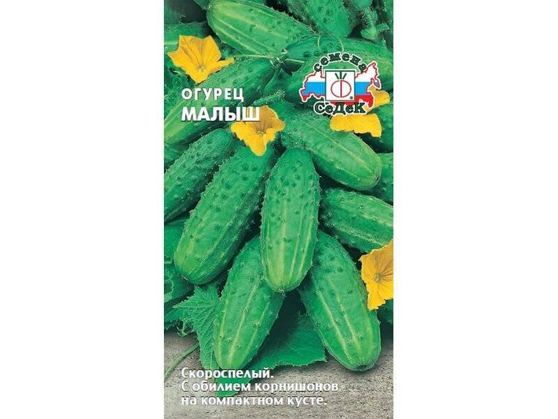 Семена огурец Малыш Седек (уп.10)