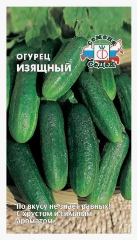 Семена огурец Изящный Седек (уп.10)