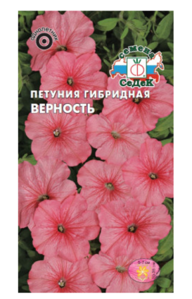 Семена Петуния Верность F1 (крупноцветк.) (уп.10)