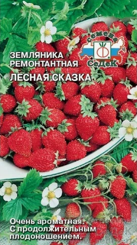 Семена земляника Лесная Сказка ( мелкоплодная ремонтант.) Седек (уп.10)