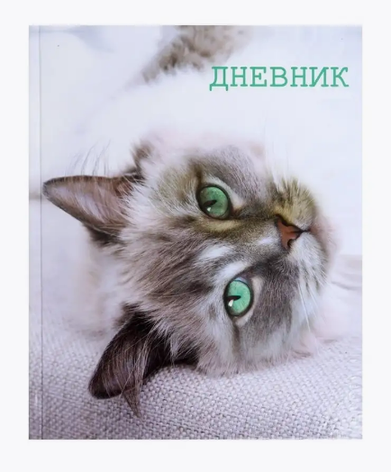 Дневник Calligarta для 5-11 кл. 48л. Кошка (40)