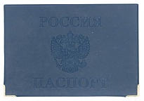 Обложка для паспорта СПИНОН