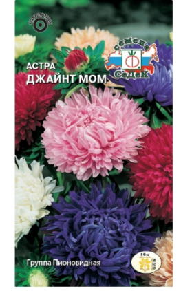 Семена Астра Джайнт Мом, смесь сортов Седек (уп.10)
