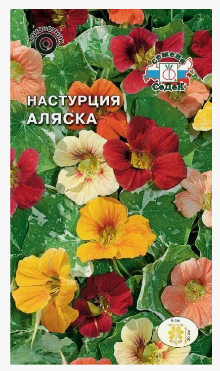 Семена Настурция Аляска ( низкорослая,смесь прост.цветов с пестрым листом) Седек (уп.10)