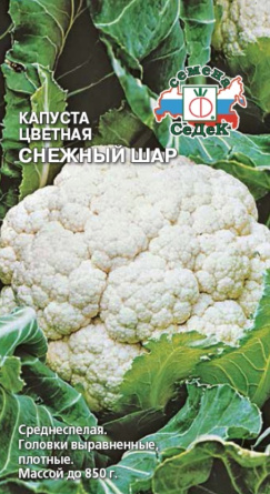 Семена капуста цветная Снежный Шар (ЦВ) Седек (уп.10)