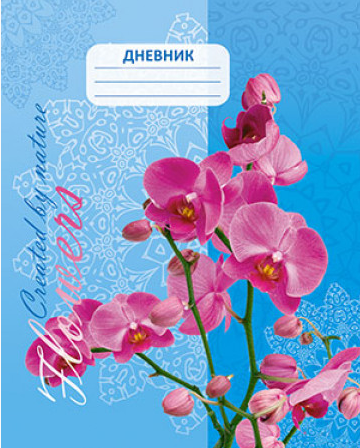 Дневник АппликА универс. на скобе Орхидея