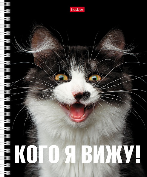 Тетрадь 48л. КЛ. гребень Хатбер Привет