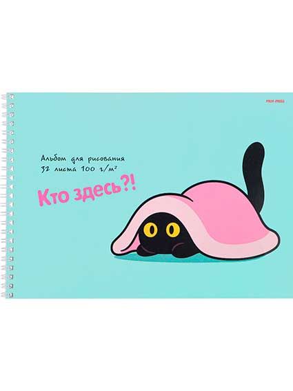 Альбом д/рис. 32л. гребень Проф-Пресс Котик под пледом