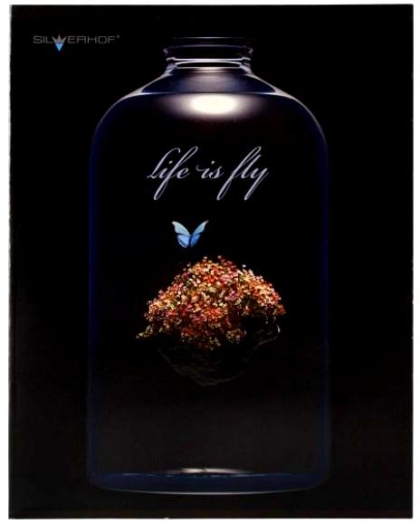 Тетрадь 80л. КЛ. Silwerhof "Life is Fly"(уп.12шт)