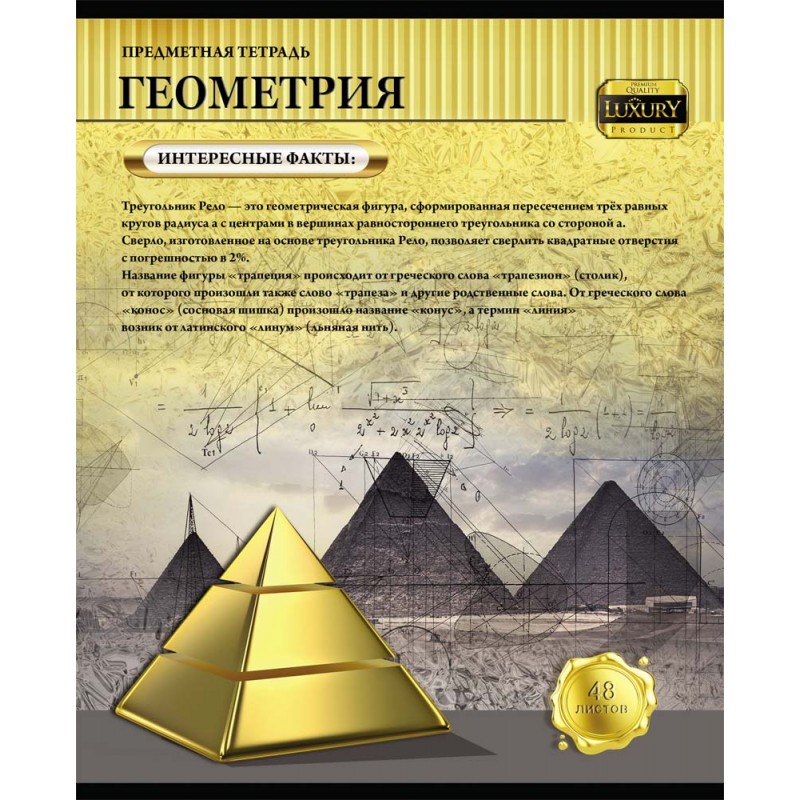 Тетрадь 48л. предм. КЛ. Проф-Пресс Геометрия