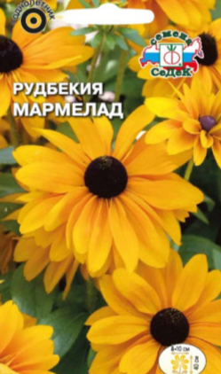 Семена Рудбекия Мармелад (желто-оранж) Седек (уп.10)