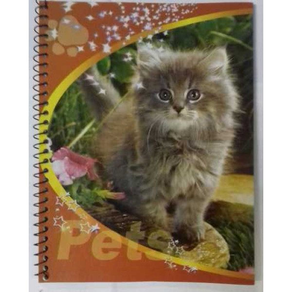 Тетрадь 48л. КЛ. Улыбка на гребне Pets Котёнок серый ТП-2-5