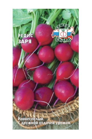 Семена редис Заря Седек (уп.10)