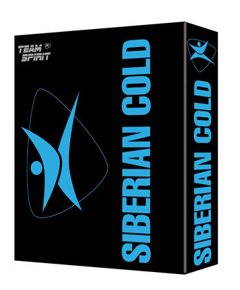 ПН/МУЖ. Team Spirit Siberian Cold (шамп.+ гель д/душа 2в1) голуб. 00321